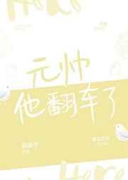 元帅他翻车了txt