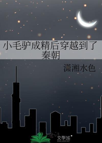 小毛驴出行