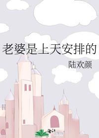 老婆是上天安排的笔趣阁免费观看