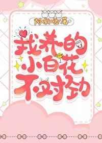 我养的小白脸是大佬短剧全集免费