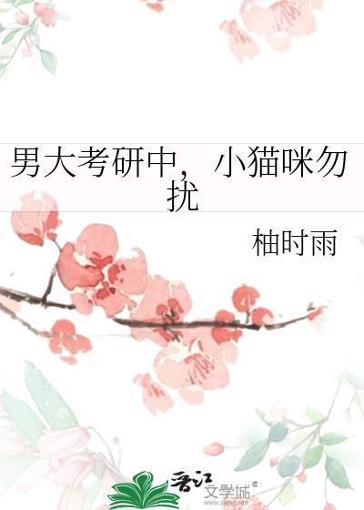 小猫咪勿扰晋江