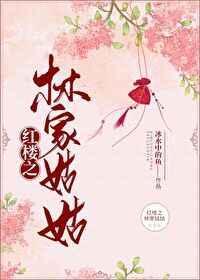 红楼之林家姑爷