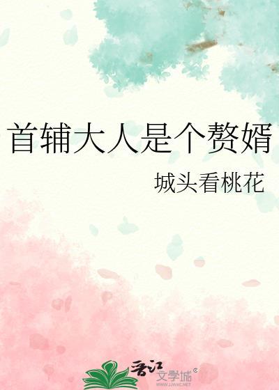 首辅大人是个赘婿by城头看桃花百度