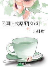 民国穿越旧式女子有才的
