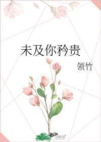 未及你矜贵晋江