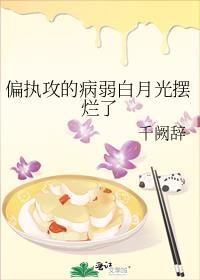 病态偏执的攻