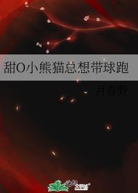 小熊猫总裁