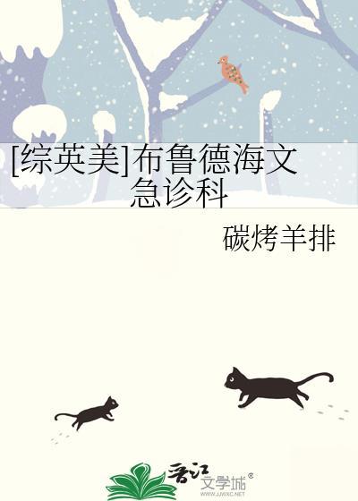 布鲁斯海文