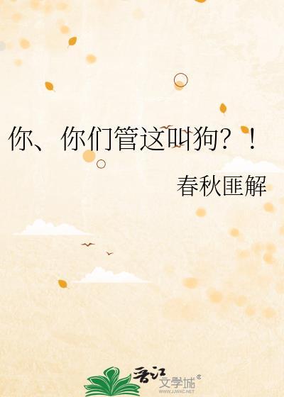 你管这叫