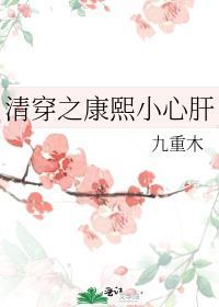 清穿之康熙心尖宠免费