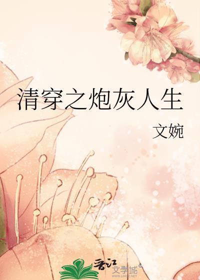 清穿之炮灰女配晋江文学