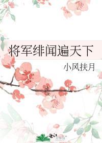 将军绯闻遍天下TXT
