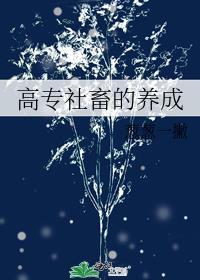 高专社畜的养成txt