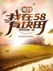 我在58有块田1816章