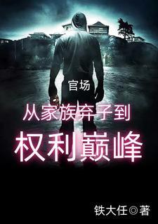 官场从家族弃子到权利巅峰李南征