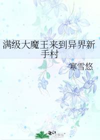 满级大魔王来到异界新手村的