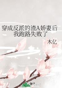 穿成反派渣男免费阅读