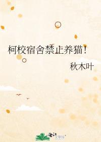 宿舍为什么不让养猫
