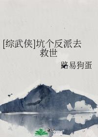 综武侠坑个反派去救世