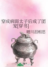 穿成病弱炮灰太子后55章