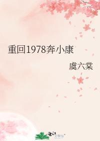 重回1978赶山致富