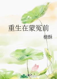 重生在蒙冤前全文阅读
