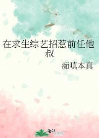 hp黑暗之光全文在线