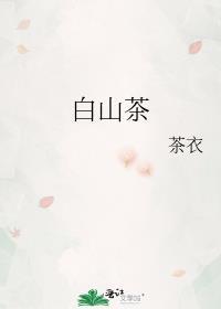 白山茶与红玫瑰