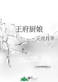 王府厨娘女主李清穗