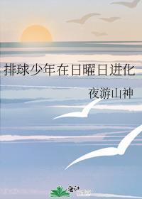 排球少年日向球鞋