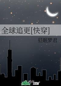 全球追妻令txt