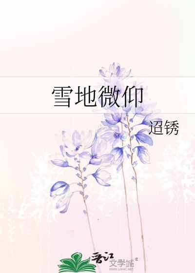雪地的微孔