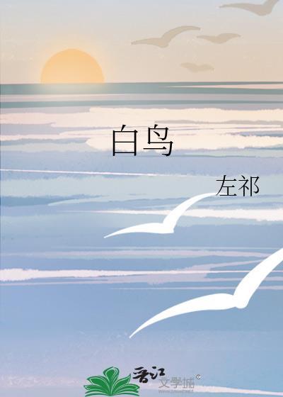 白鸟浩