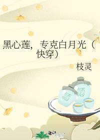 什么白月光我是他们的黑心莲在线观看