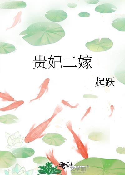 贵妃二嫁 起跃晋江