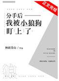分手后我被小狼狗盯上了