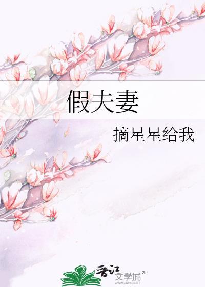 假夫妻