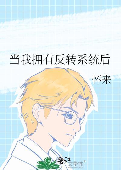 当我拥有反转系统后